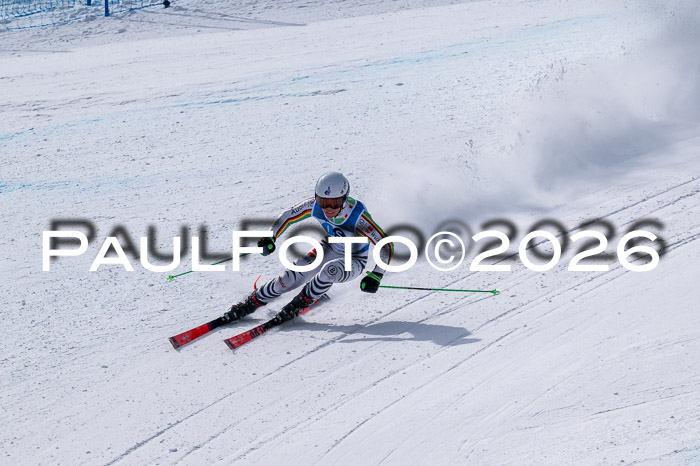 NC DH Training Damen + Herren Axamer Lizum 24.03.2026