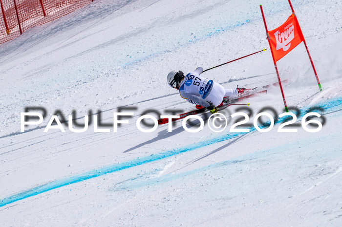 NC DH Training Damen + Herren Axamer Lizum 24.03.2026