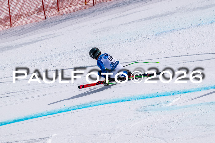 NC DH Training Damen + Herren Axamer Lizum 24.03.2026