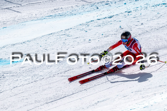 NC + NJC DH ,Frauen + Männer Axamer Lizum 25.03.2026