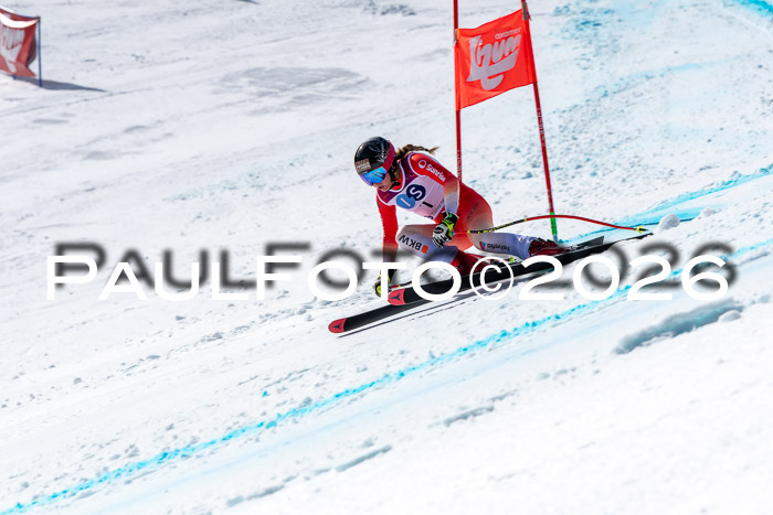 NC + NJC DH ,Frauen + Männer Axamer Lizum 25.03.2026