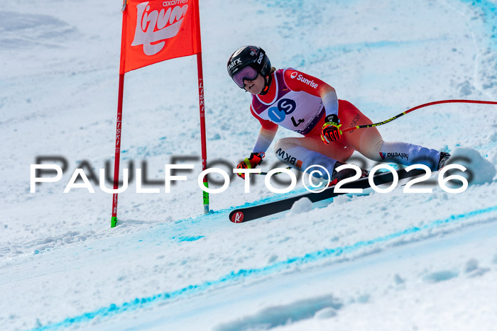 NC + NJC DH ,Frauen + Männer Axamer Lizum 25.03.2026