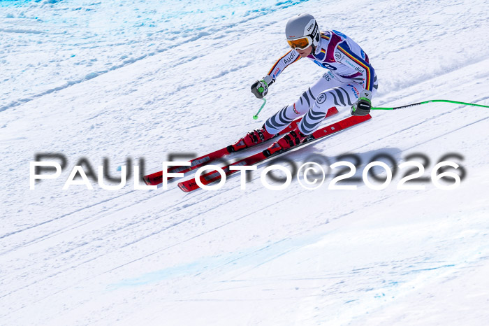 NC + NJC DH ,Frauen + Männer Axamer Lizum 25.03.2026