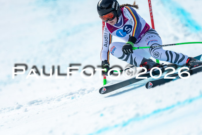 NC + NJC DH ,Frauen + Männer Axamer Lizum 25.03.2026