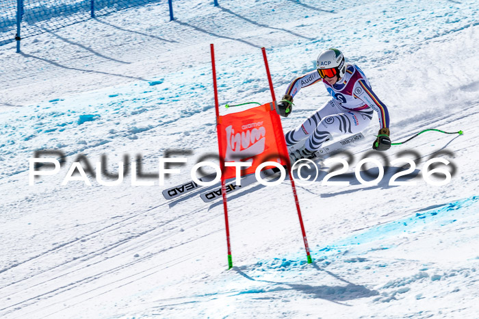 NC + NJC DH ,Frauen + Männer Axamer Lizum 25.03.2026