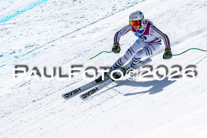 NC + NJC DH ,Frauen + Männer Axamer Lizum 25.03.2026