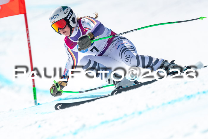 NC + NJC DH ,Frauen + Männer Axamer Lizum 25.03.2026