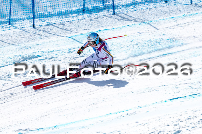 NC + NJC DH ,Frauen + Männer Axamer Lizum 25.03.2026