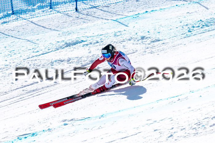 NC + NJC DH ,Frauen + Männer Axamer Lizum 25.03.2026