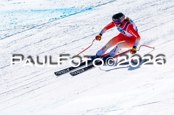 NC + NJC DH ,Frauen + Männer Axamer Lizum 25.03.2026