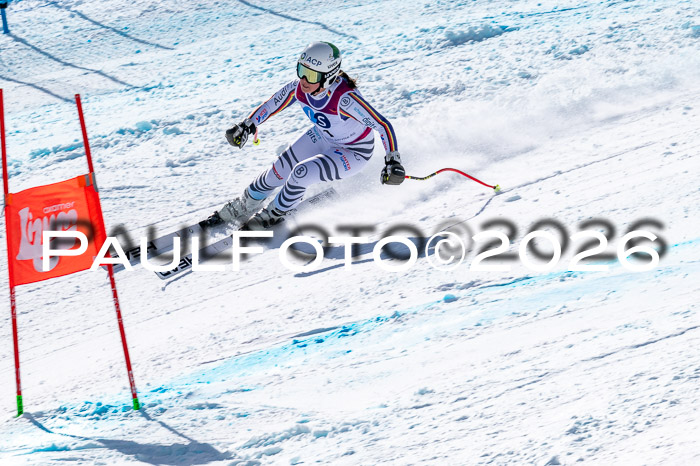 NC + NJC DH ,Frauen + Männer Axamer Lizum 25.03.2026