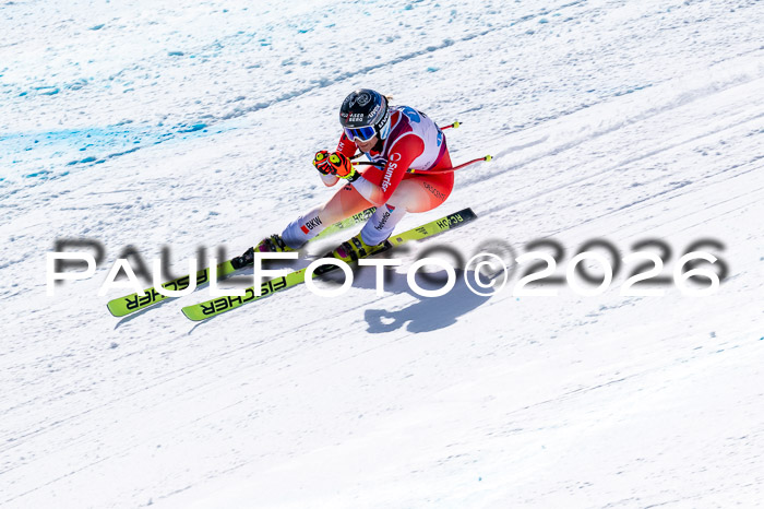 NC + NJC DH ,Frauen + Männer Axamer Lizum 25.03.2026