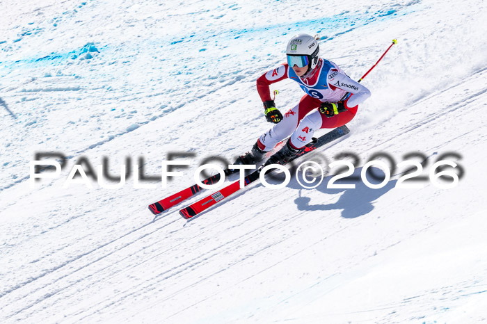 NC + NJC DH ,Frauen + Männer Axamer Lizum 25.03.2026