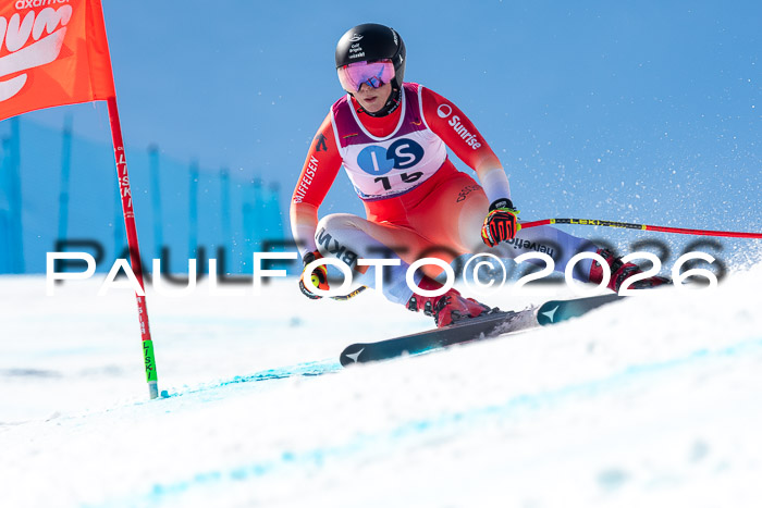 NC + NJC DH ,Frauen + Männer Axamer Lizum 25.03.2026