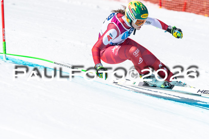 NC + NJC DH ,Frauen + Männer Axamer Lizum 25.03.2026