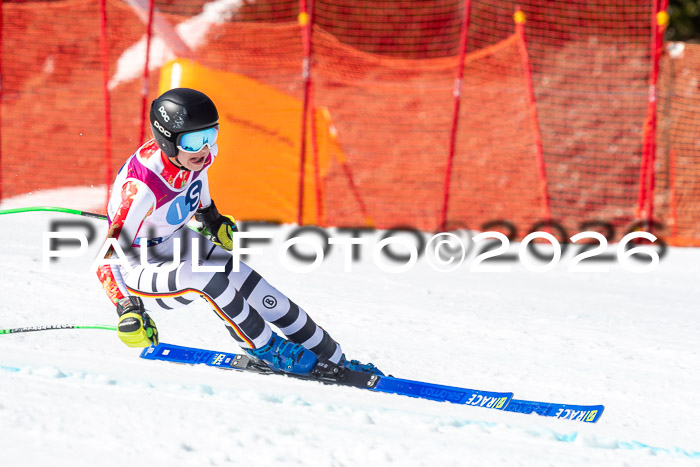 NC + NJC DH ,Frauen + Männer Axamer Lizum 25.03.2026