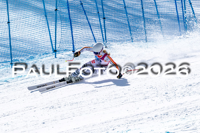 NC + NJC DH ,Frauen + Männer Axamer Lizum 25.03.2026