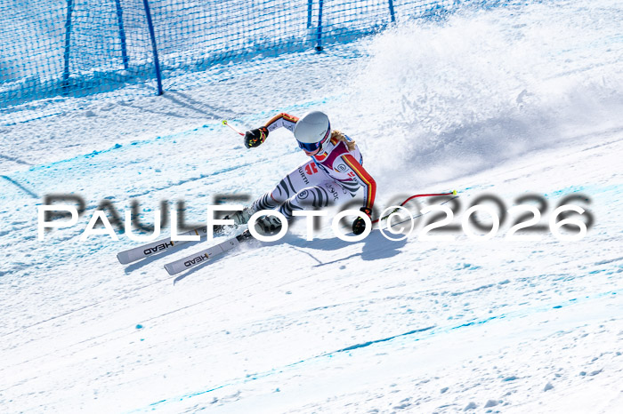 NC + NJC DH ,Frauen + Männer Axamer Lizum 25.03.2026