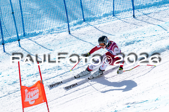 NC + NJC DH ,Frauen + Männer Axamer Lizum 25.03.2026