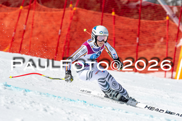 NC + NJC DH ,Frauen + Männer Axamer Lizum 25.03.2026