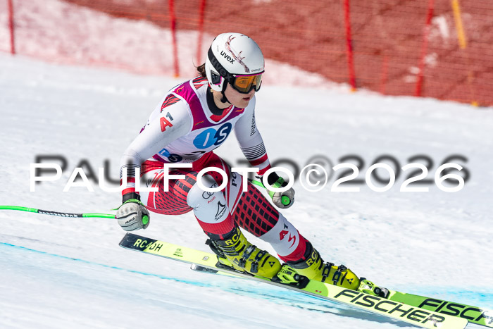 NC + NJC DH ,Frauen + Männer Axamer Lizum 25.03.2026