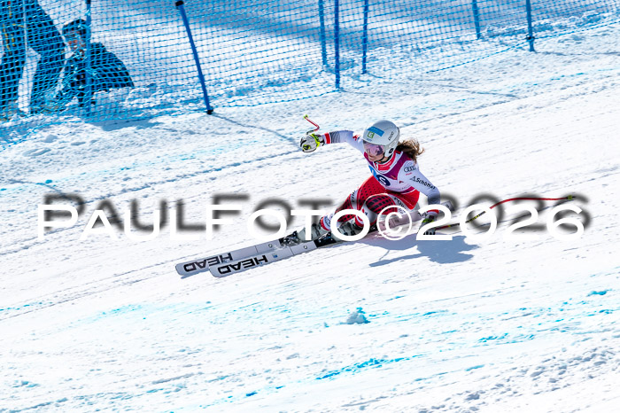 NC + NJC DH ,Frauen + Männer Axamer Lizum 25.03.2026