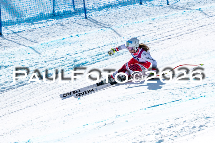 NC + NJC DH ,Frauen + Männer Axamer Lizum 25.03.2026