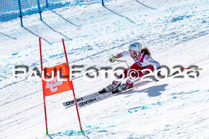 NC + NJC DH ,Frauen + Männer Axamer Lizum 25.03.2026