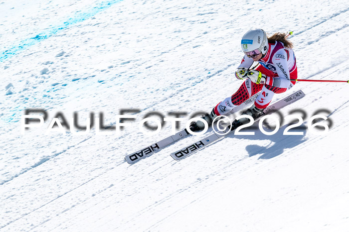 NC + NJC DH ,Frauen + Männer Axamer Lizum 25.03.2026