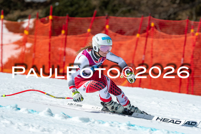 NC + NJC DH ,Frauen + Männer Axamer Lizum 25.03.2026