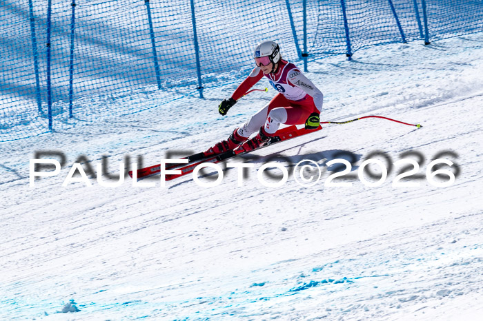 NC + NJC DH ,Frauen + Männer Axamer Lizum 25.03.2026