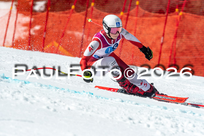 NC + NJC DH ,Frauen + Männer Axamer Lizum 25.03.2026