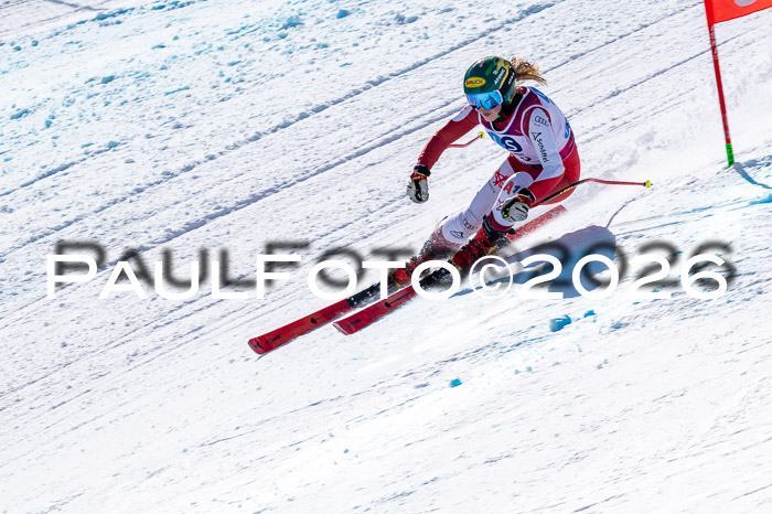 NC + NJC DH ,Frauen + Männer Axamer Lizum 25.03.2026