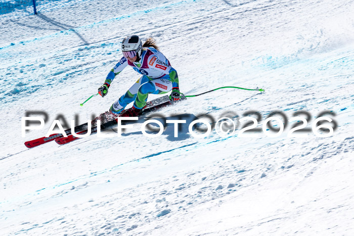 NC + NJC DH ,Frauen + Männer Axamer Lizum 25.03.2026