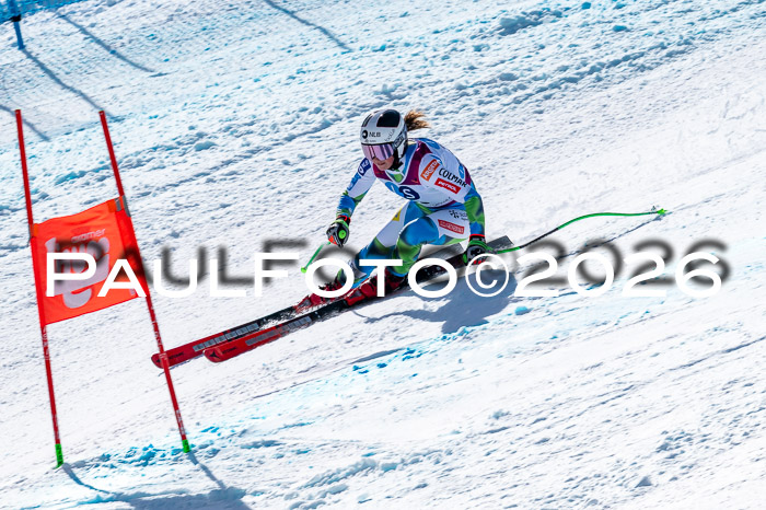 NC + NJC DH ,Frauen + Männer Axamer Lizum 25.03.2026