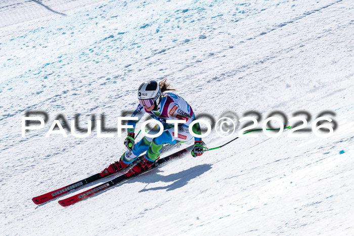 NC + NJC DH ,Frauen + Männer Axamer Lizum 25.03.2026