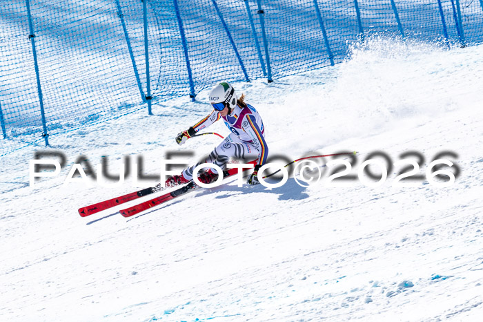 NC + NJC DH ,Frauen + Männer Axamer Lizum 25.03.2026