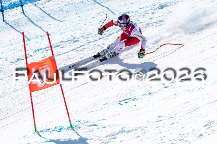 NC + NJC DH ,Frauen + Männer Axamer Lizum 25.03.2026