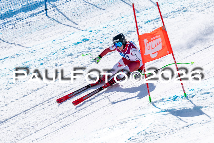 NC + NJC DH ,Frauen + Männer Axamer Lizum 25.03.2026