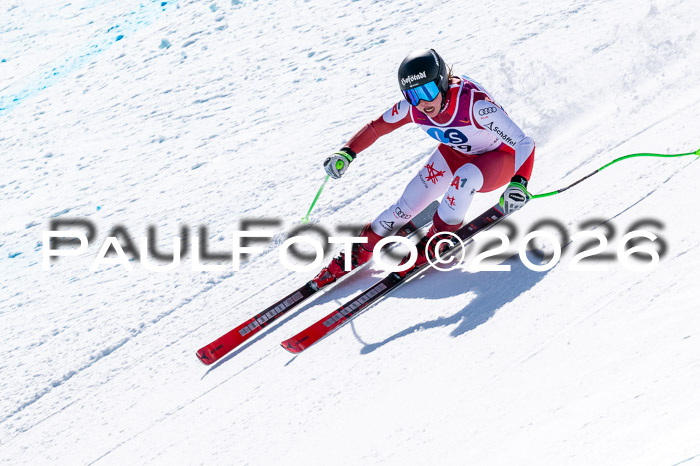 NC + NJC DH ,Frauen + Männer Axamer Lizum 25.03.2026