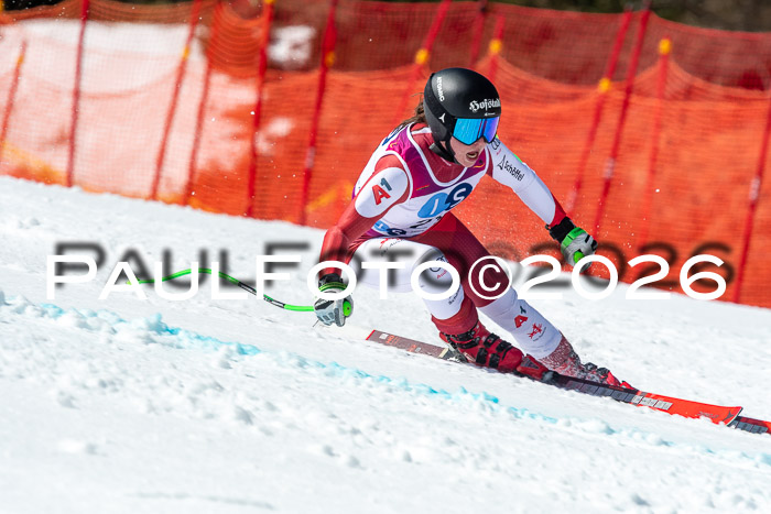 NC + NJC DH ,Frauen + Männer Axamer Lizum 25.03.2026