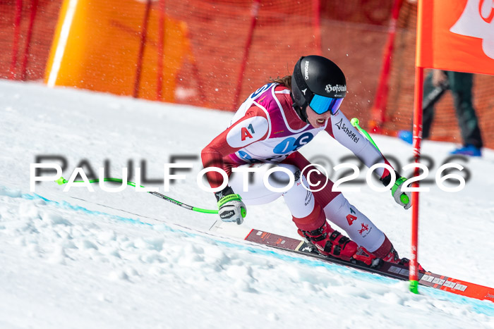 NC + NJC DH ,Frauen + Männer Axamer Lizum 25.03.2026