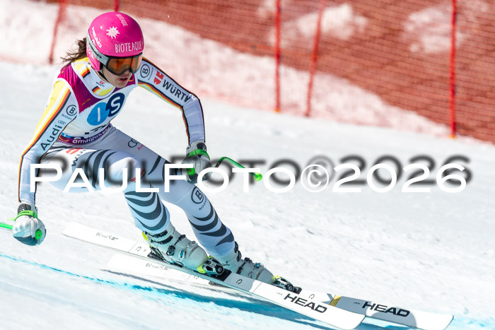 NC + NJC DH ,Frauen + Männer Axamer Lizum 25.03.2026