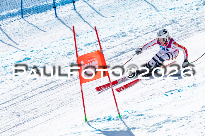 NC + NJC DH ,Frauen + Männer Axamer Lizum 25.03.2026