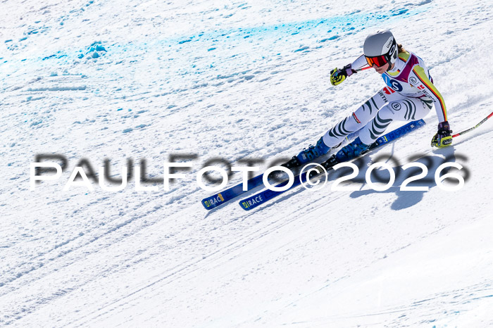 NC + NJC DH ,Frauen + Männer Axamer Lizum 25.03.2026