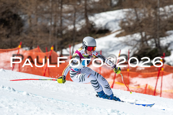 NC + NJC DH ,Frauen + Männer Axamer Lizum 25.03.2026