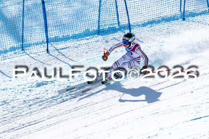 NC + NJC DH ,Frauen + Männer Axamer Lizum 25.03.2026