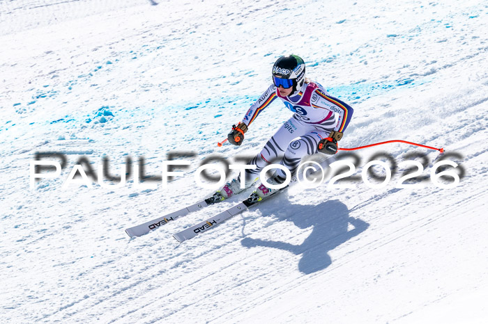 NC + NJC DH ,Frauen + Männer Axamer Lizum 25.03.2026