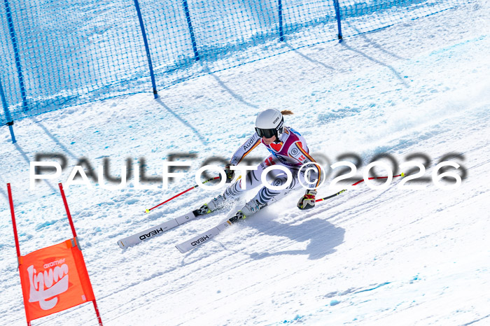 NC + NJC DH ,Frauen + Männer Axamer Lizum 25.03.2026