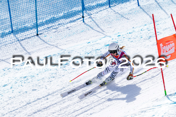 NC + NJC DH ,Frauen + Männer Axamer Lizum 25.03.2026